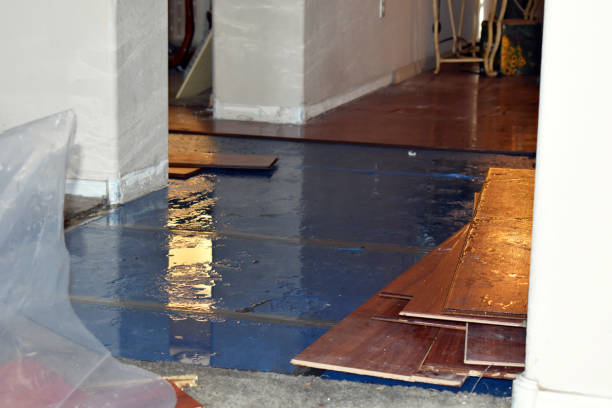 Professional Structural Drying technician working in Potterville, MI
